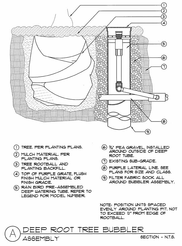 Official Palm Planting Detail DISCUSSING PALM TREES WORLDWIDE PalmTalk